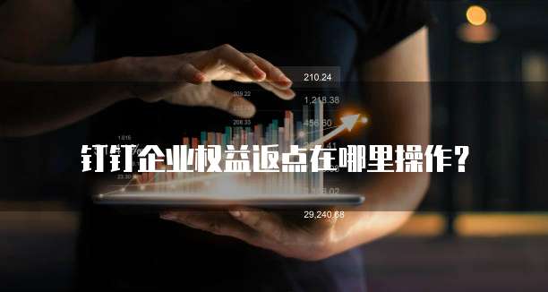 钉钉企业权益返点在哪里操作?