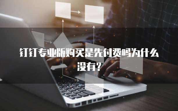 钉钉专业版购买是先付费吗为什么没有？
