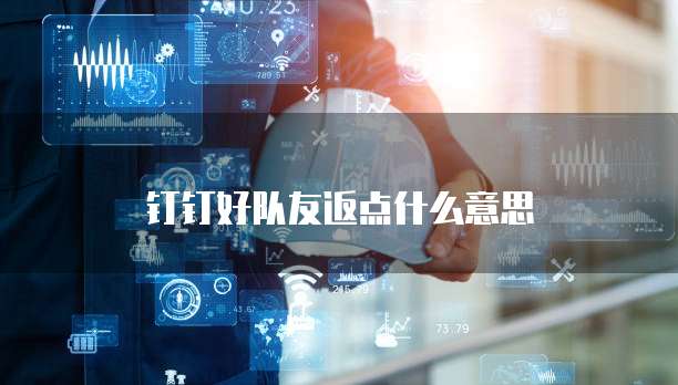 钉钉好队友返点什么意思
