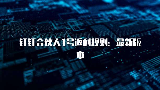 钉钉合伙人1号返利规则:最新版本