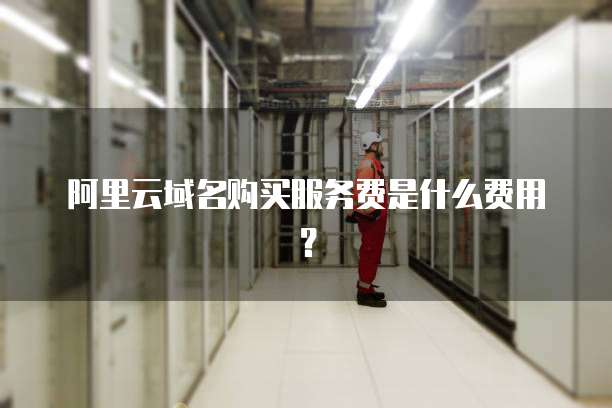 阿里云域名购买服务费是什么费用?
