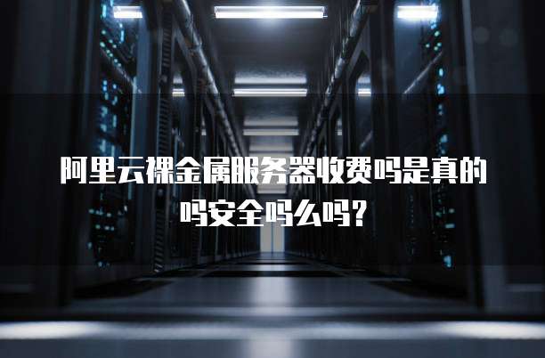 阿里云裸金属服务器收费吗是真的吗安全吗么吗?