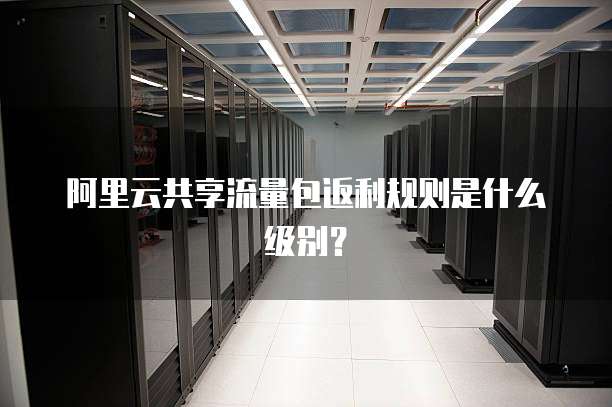 阿里云共享流量包返利规则是什么级别?