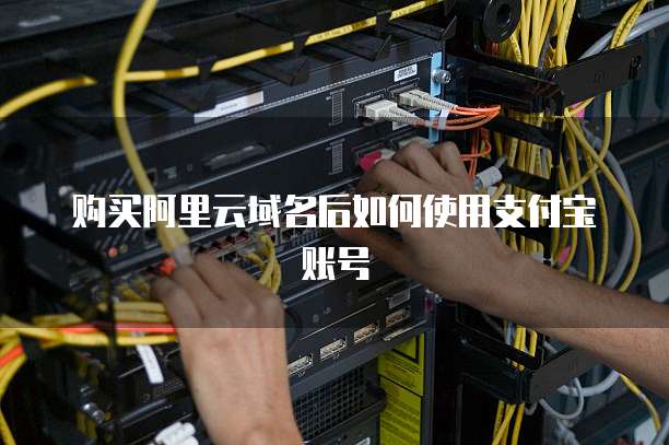 购买阿里云域名后如何使用支付宝账号