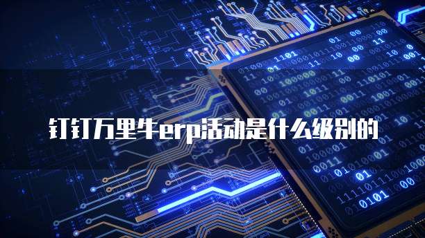 钉钉万里牛erp活动是什么级别的