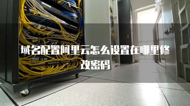 域名配置阿里云怎么设置在哪里修改密码