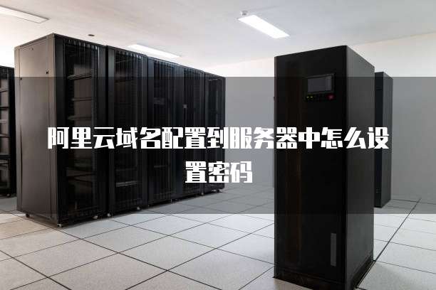 阿里云域名配置到服务器中怎么设置密码