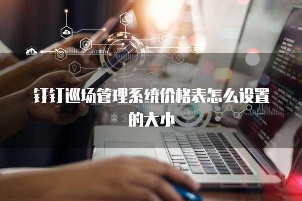 钉钉巡场管理系统价格表怎么设置的大小