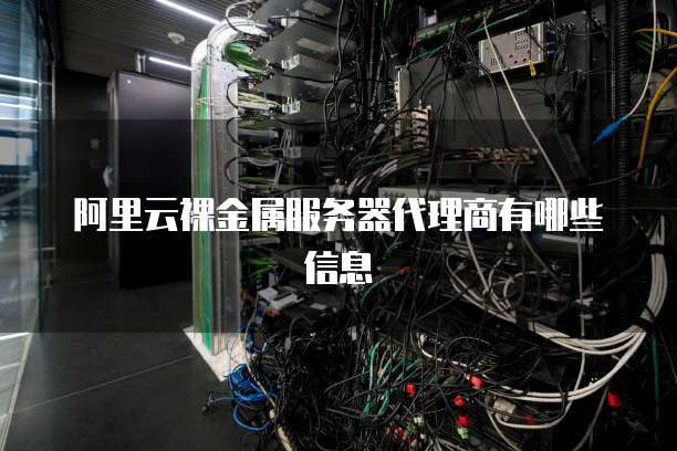 阿里云裸金属服务器代理商有哪些信息