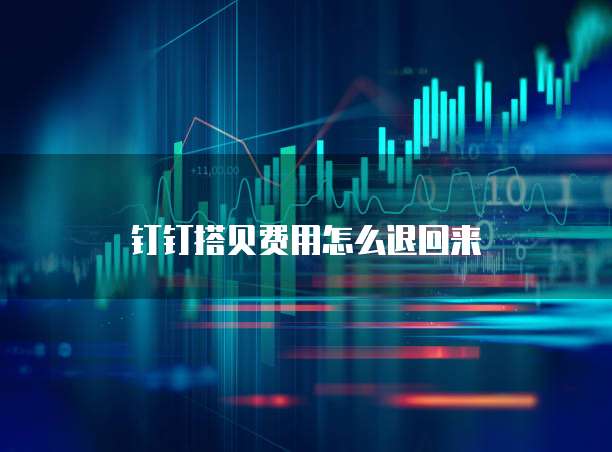 钉钉搭贝费用怎么退回来