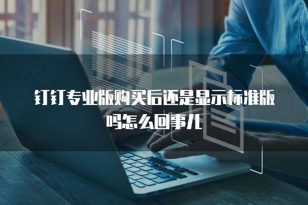钉钉专业版购买后还是显示标准版吗怎么回事儿