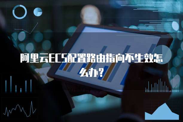 阿里云ECS配置路由指向不生效怎么办？