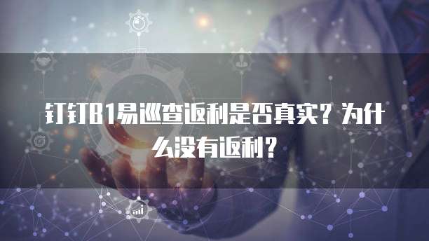 钉钉B1易巡查返利是否真实?为什么没有返利?