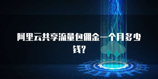 阿里云共享流量包佣金一个月多少钱？
