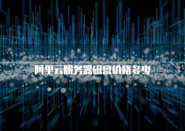 阿里云服务器磁盘价格多少
