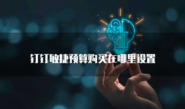 钉钉敏捷预算购买在哪里设置