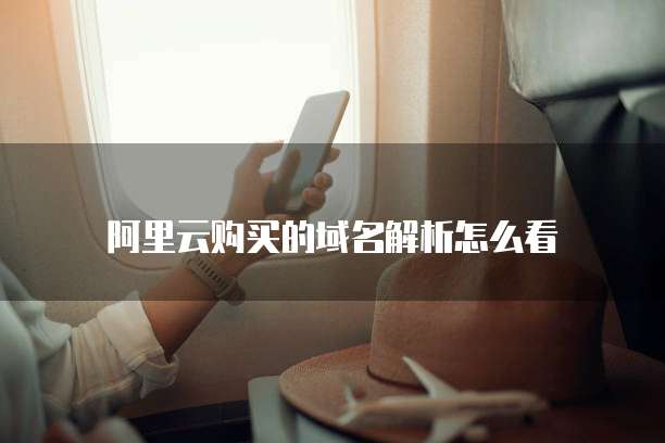 阿里云购买的域名解析怎么看