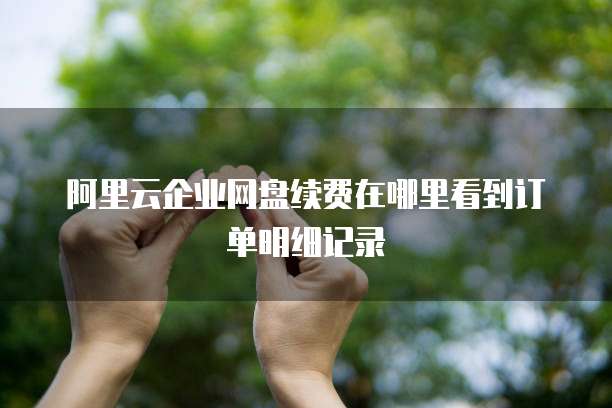阿里云企业网盘续费在哪里看到订单明细记录
