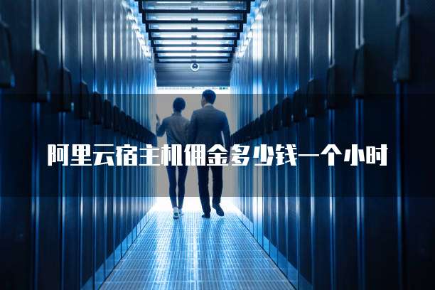 阿里云宿主机佣金多少钱一个小时