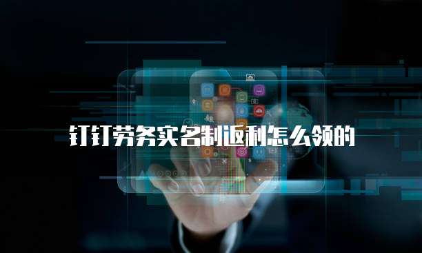 钉钉劳务实名制返利怎么领的