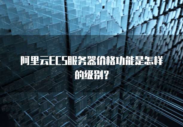 阿里云ECS服务器价格功能是怎样的级别?