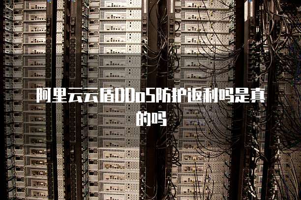 阿里云云盾DDoS防护返利吗是真的吗