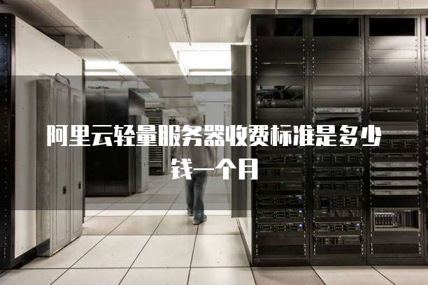 阿里云轻量服务器收费标准是多少钱一个月