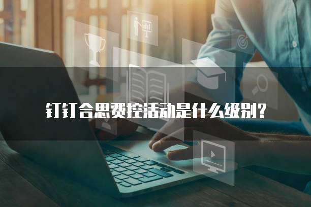 钉钉合思费控活动是什么级别?