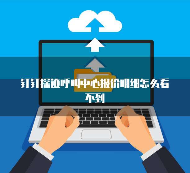 钉钉探迹呼叫中心报价明细怎么看不到