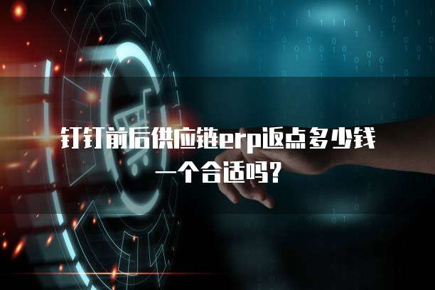 钉钉前后供应链erp返点多少钱一个合适吗?