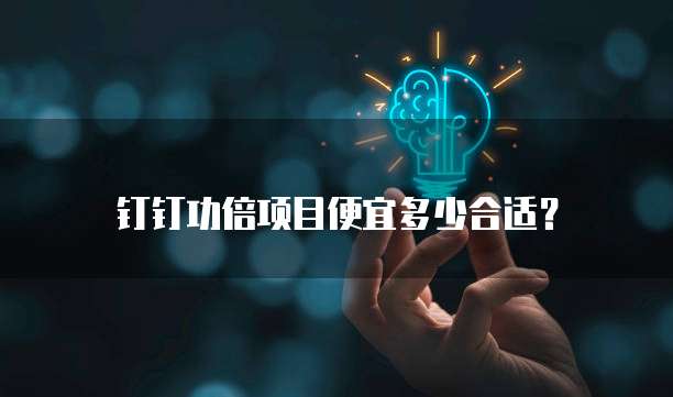 钉钉功倍项目便宜多少合适？