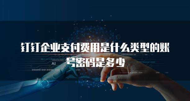 钉钉企业支付费用是什么类型的账号密码是多少