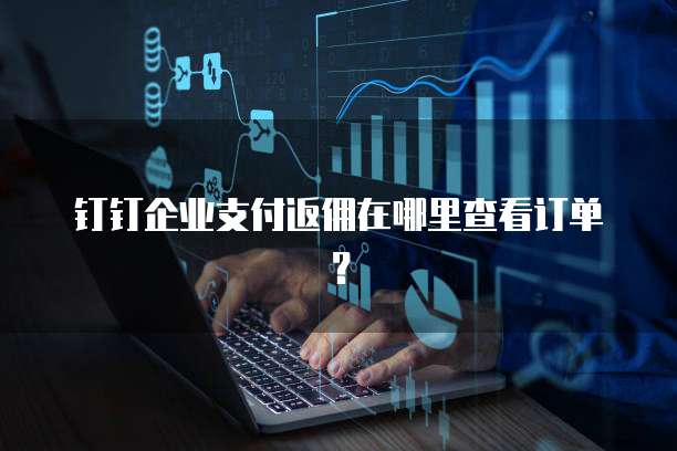 钉钉企业支付返佣在哪里查看订单?