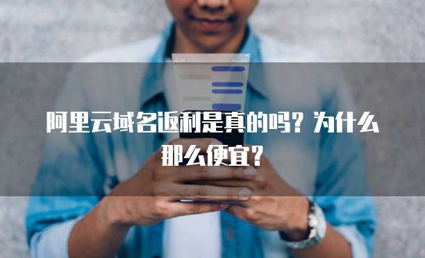 阿里云域名返利是真的吗?为什么那么便宜?