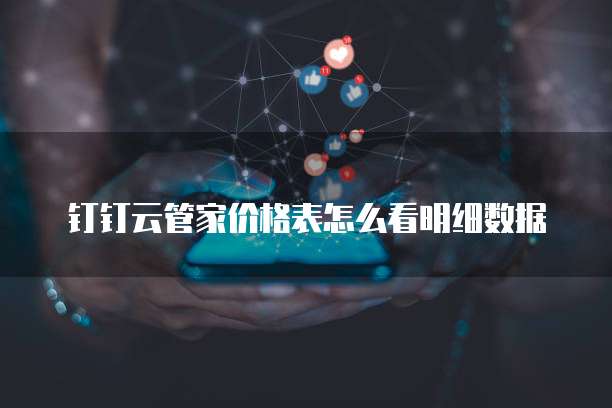 钉钉云管家价格表怎么看明细数据
