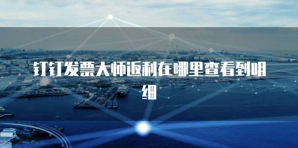 钉钉发票大师返利在哪里查看到明细