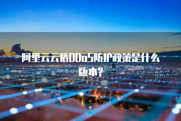 阿里云云盾DDoS防护政策是什么版本?