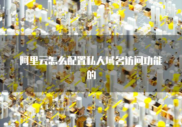 阿里云怎么配置私人域名访问功能的