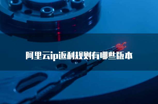阿里云ip返利规则有哪些版本