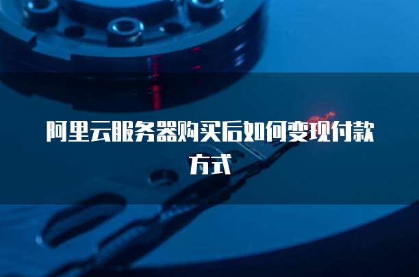 阿里云服务器购买后如何变现付款方式