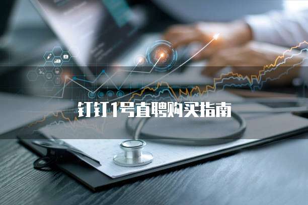 钉钉1号直聘购买指南
