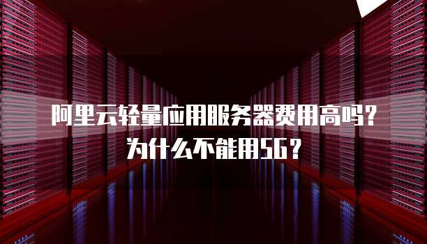 阿里云轻量应用服务器费用高吗?为什么不能用5G?