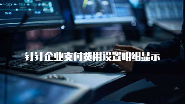 钉钉企业支付费用设置明细显示