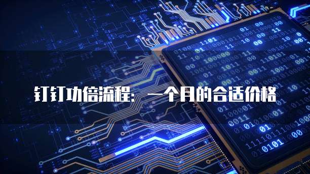 钉钉功倍流程:一个月的合适价格