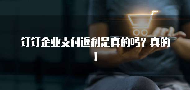 钉钉企业支付返利是真的吗?真的!