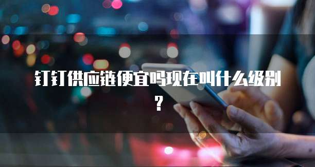 钉钉供应链便宜吗现在叫什么级别？