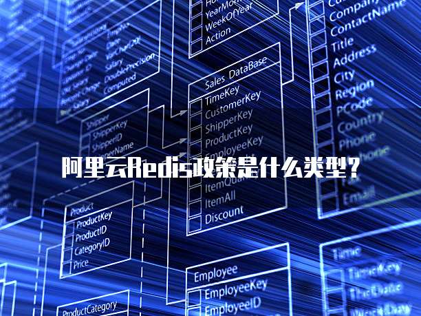 阿里云Redis政策是什么类型?
