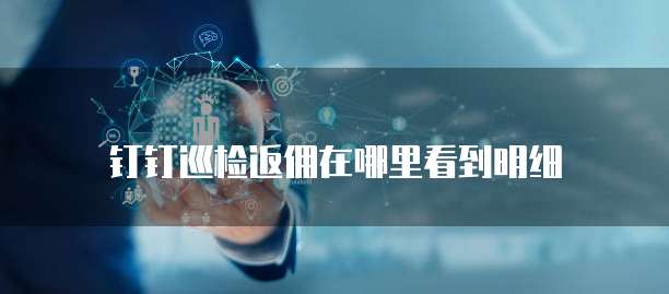 钉钉巡检返佣在哪里看到明细