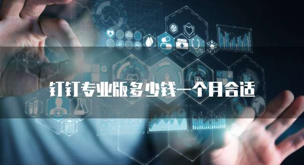 钉钉专业版多少钱一个月合适