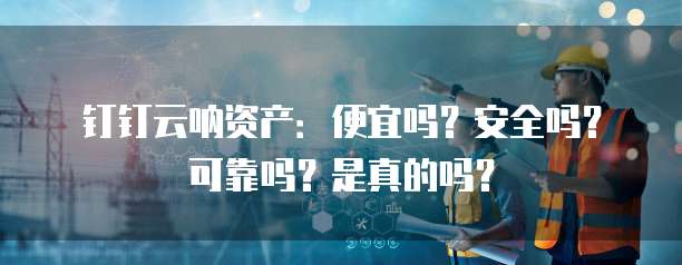 钉钉云呐资产:便宜吗?安全吗?可靠吗?是真的吗?